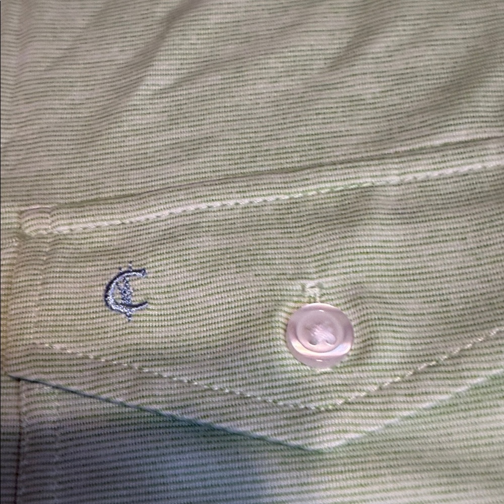 Criquet Light Green Men’s Polo Shirt - Picture 3 of 14
